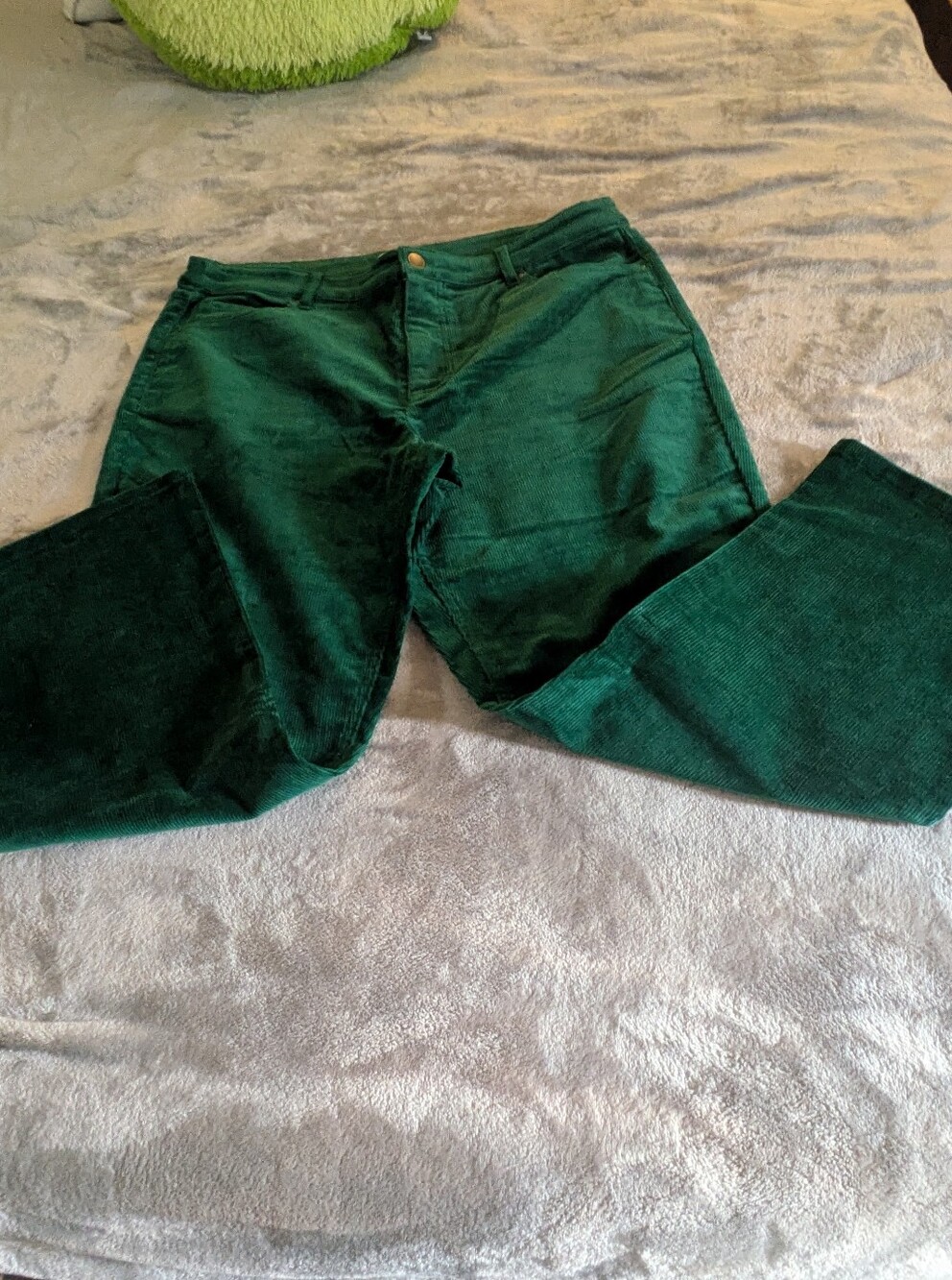 Joan Rivers Women's Green Corduroy Pants Size 16 Straight